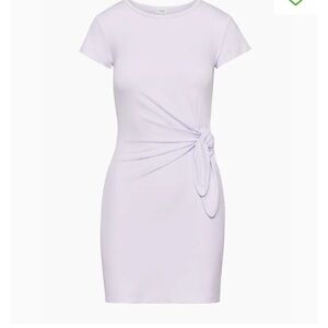 Aritzia Fortune Mini Dress